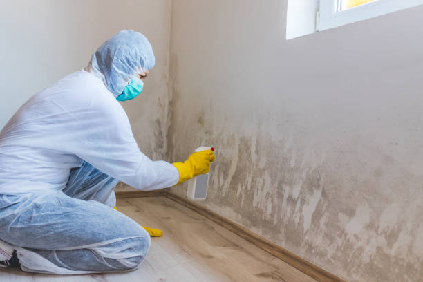 Hvac And Air Duct Mold Remediation inspection of HVAC system in Belmont